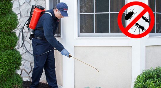 Altınordu Dezenfeksiyon böcek ilaçlama ve haşere kontrolü — ilaclama-tr.com